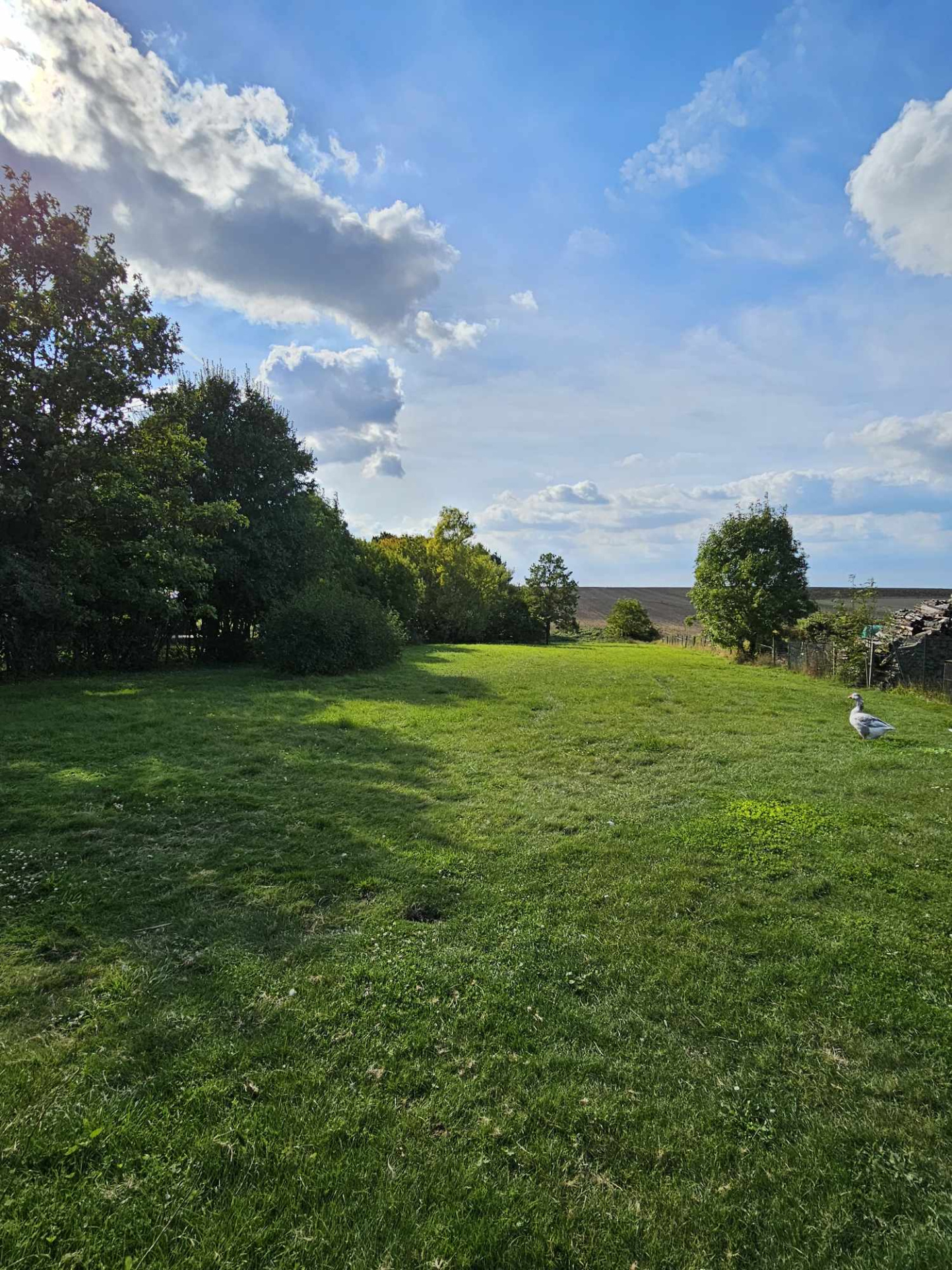 Montereau-Fault-Yonne