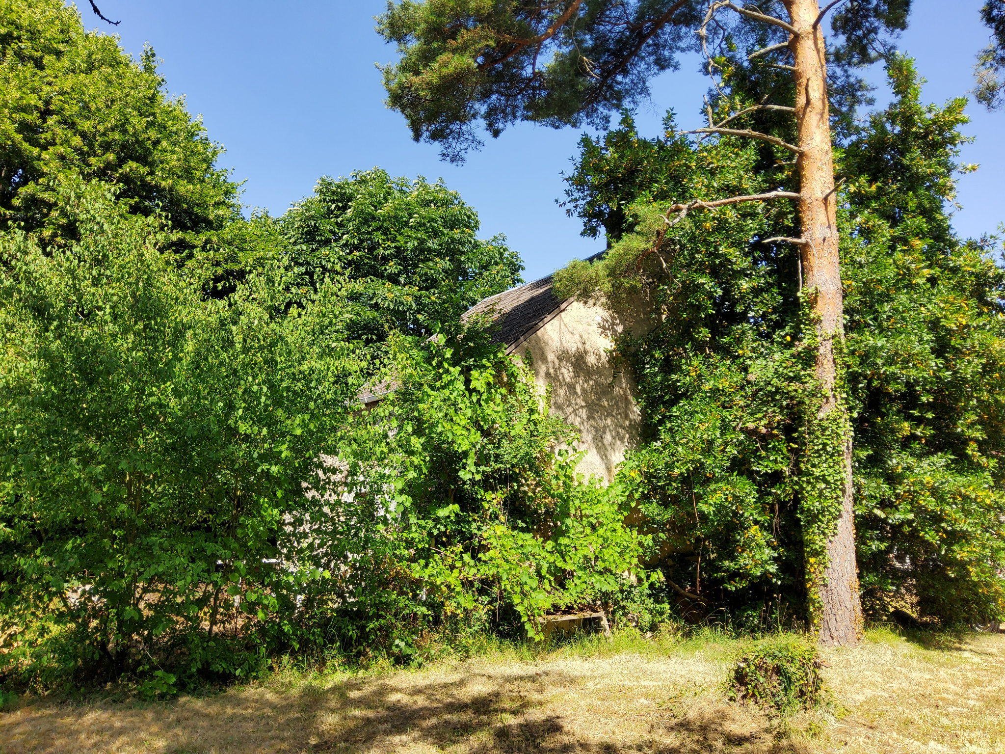 Vaudeurs