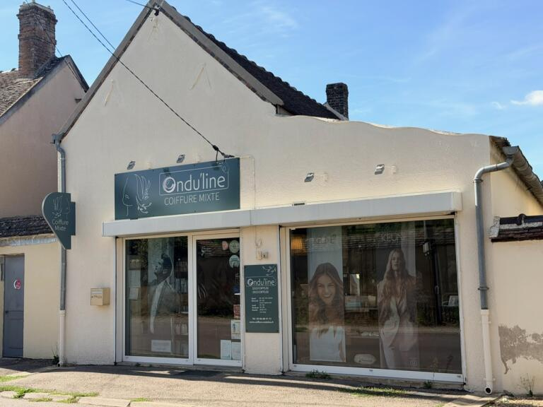 Appartement 2 pièces 84 m² · à Thorigny-sur-Oreuse · 84 m² · 99 000 €