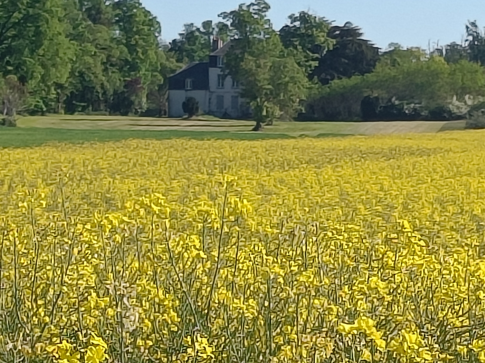 Bonny-sur-Loire