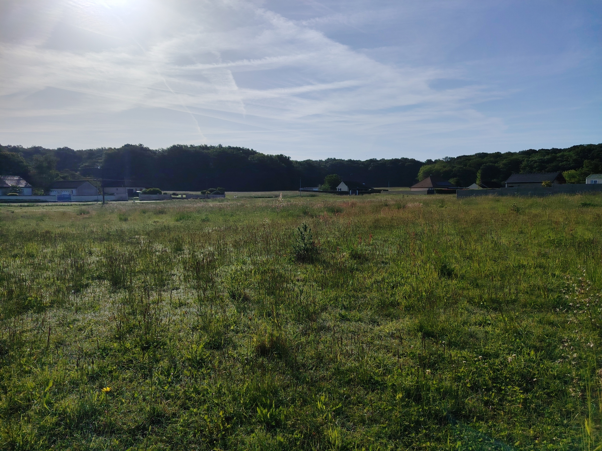Pont-sur-Yonne