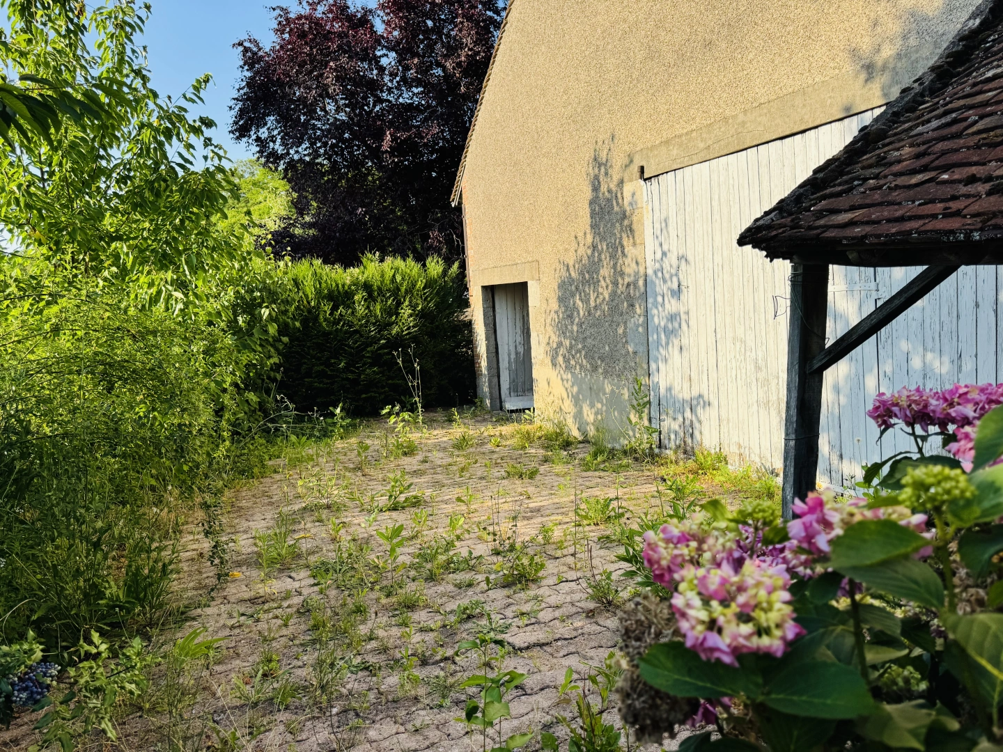 property
